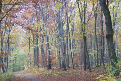Schoene-Uckermarck_100_4535