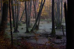 Schoene-Uckermarck_100_4545